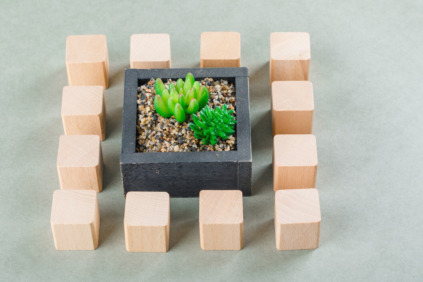 business-concept-with-wooden-blocks-green-plant_176474-10366