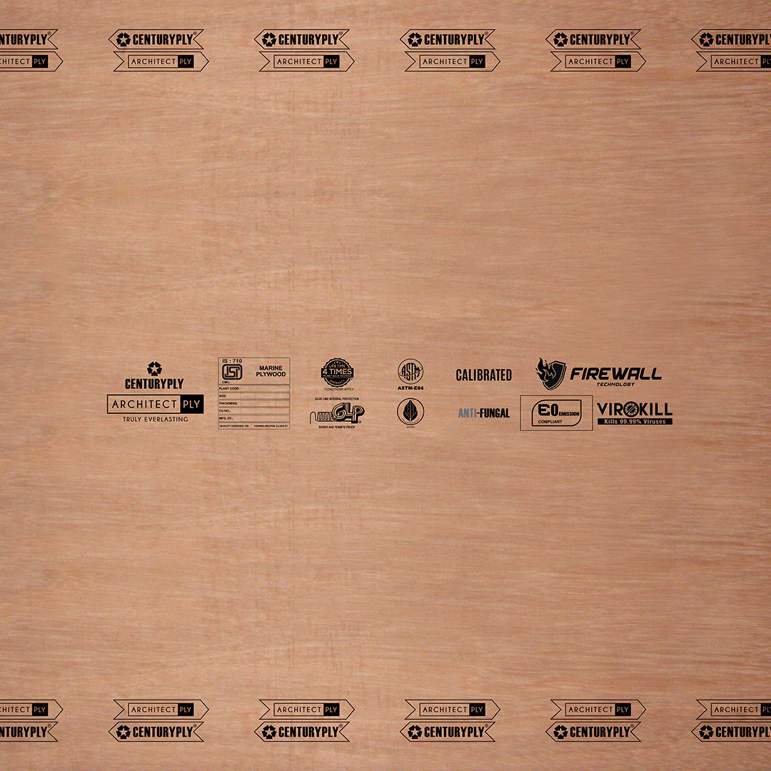Architect_Ply_Plywood_Facelift_72_mm_200224_1a80156a4c